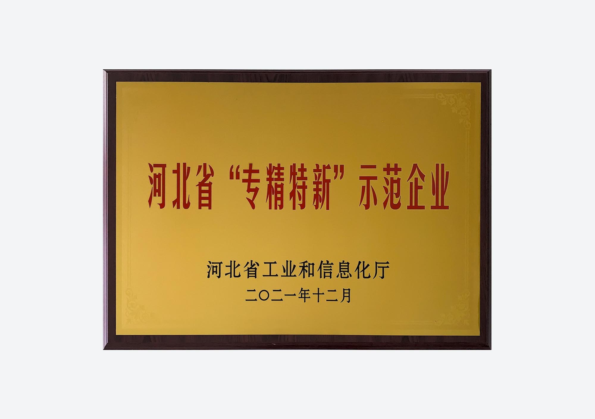 廊坊子公司&ldquo;专精特新&rdquo;